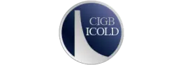 logo ICOLD